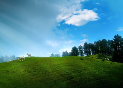 Top 6 Summer Treks in India for Adventure Lovers