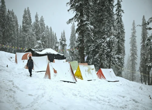 Best Time to Do the Kedarkantha Trek — Why Winter (Nov → Early April)