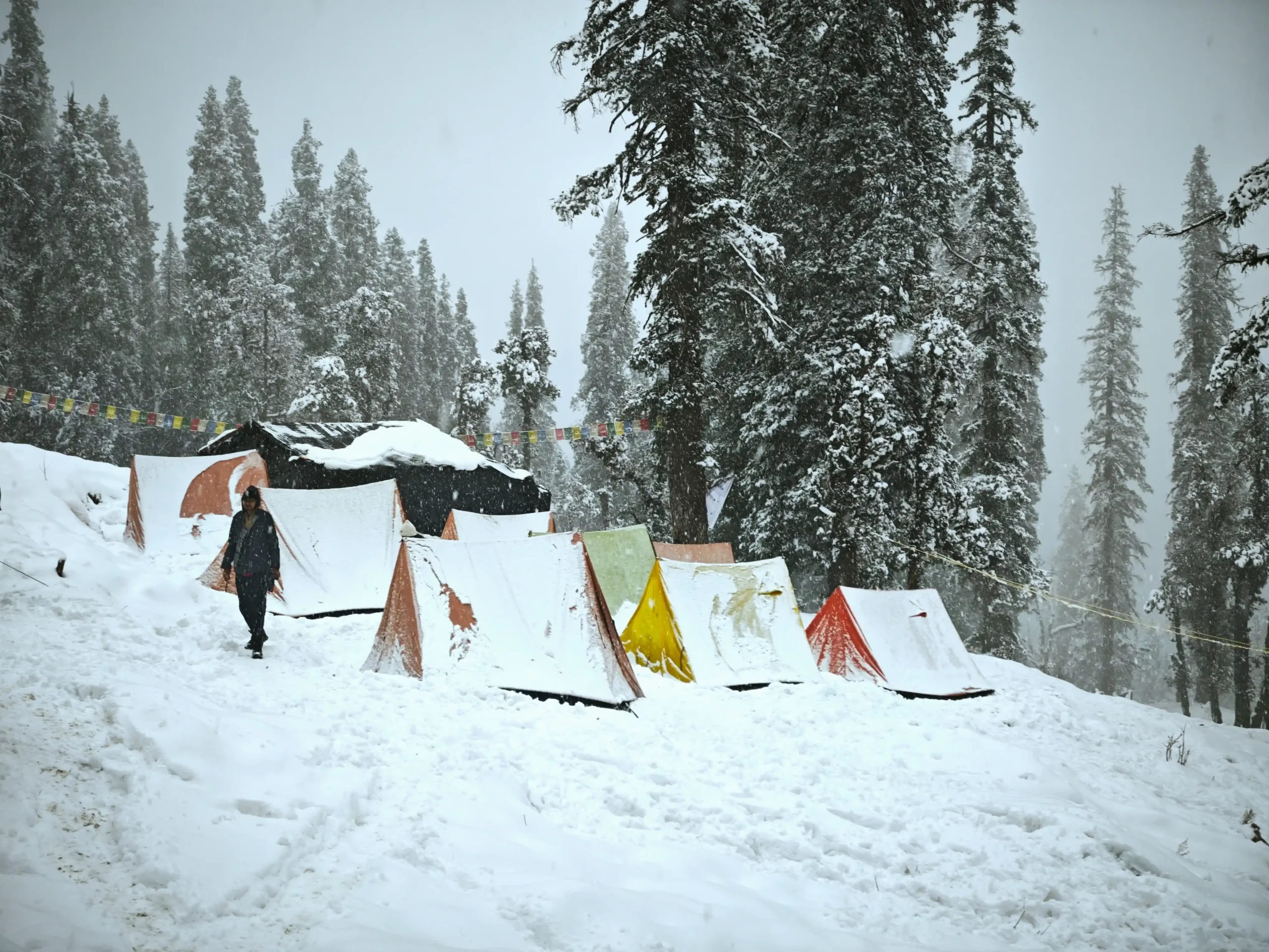 snow covered campsite on the kedarkantha trek