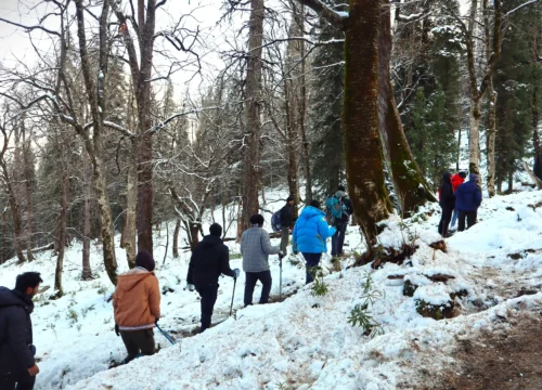 How Difficult is the Kedarkantha Trek? A Complete Difficulty Guide