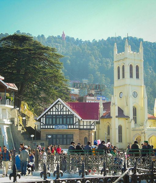 Shimla & Manali