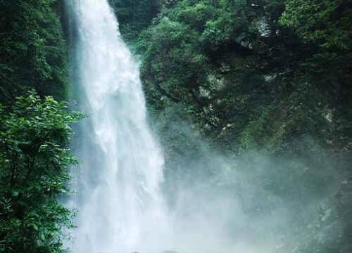 Manali, Kasol & Jibhi Tour