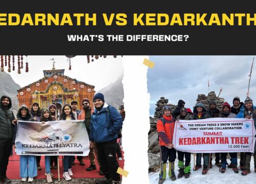 What’s the Difference Between Kedarnath and Kedarkantha Trek? — The Complete Guide