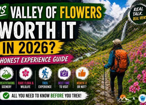 Is Valley of Flowers Worth It in 2026? Honest Experience Guide