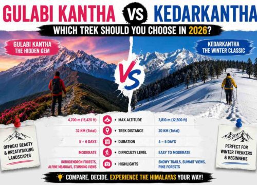 Gulabi Kantha vs Kedarkantha – Which Trek Should You Choose in 2026?