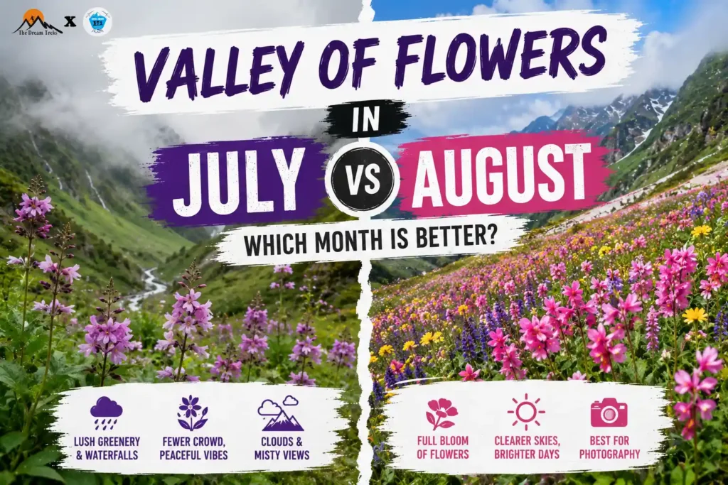 Valley of Flowers in July vs August – Which Month is Better?