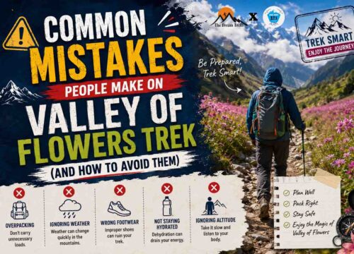 Common Mistakes People Make on Valley of Flowers Trek (And How to Avoid Them)