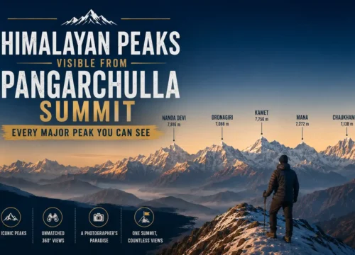 Himalayan Peaks Visible from Pangarchulla Summit: Every Major Peak You Can See