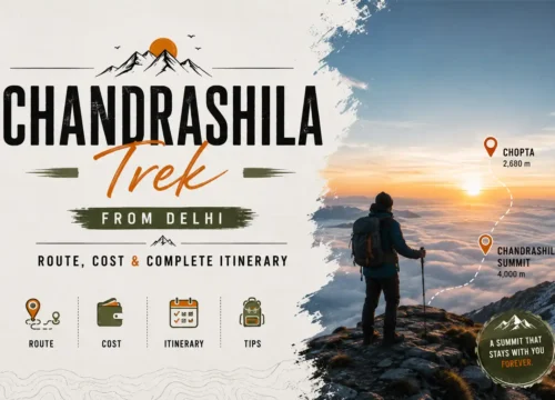 Chandrashila Trek From Delhi: Route, Cost & Complete Itinerary