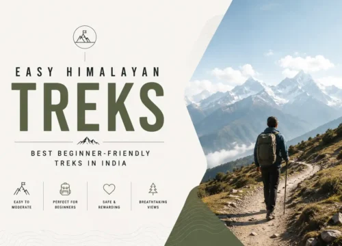 Easy Himalayan Treks: Best Beginner-Friendly Treks in India