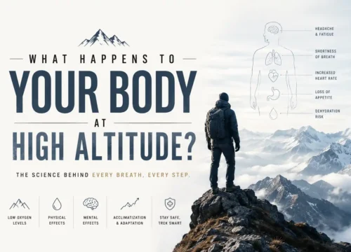 What Happens to Your Body at High Altitude?
